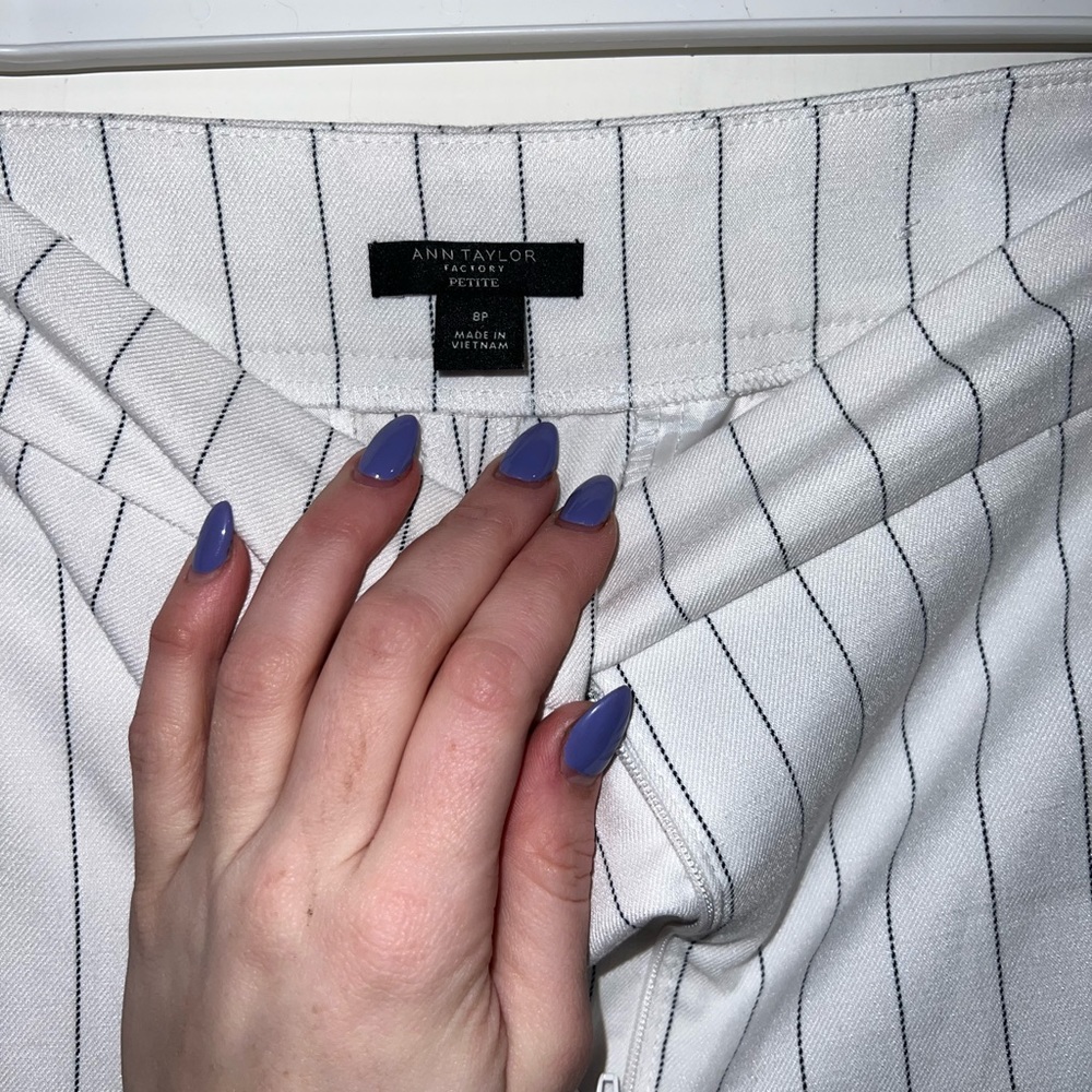Ann Taylor Dress Pants